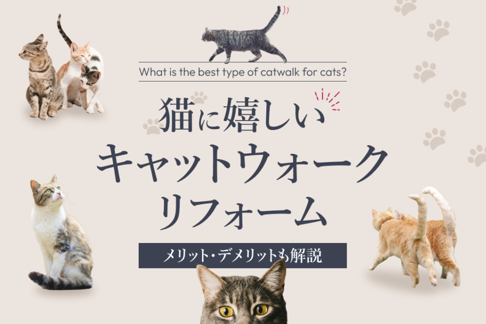 猫に嬉しいキャットウォークリフォーム｜メリットデメリットや費用を解説